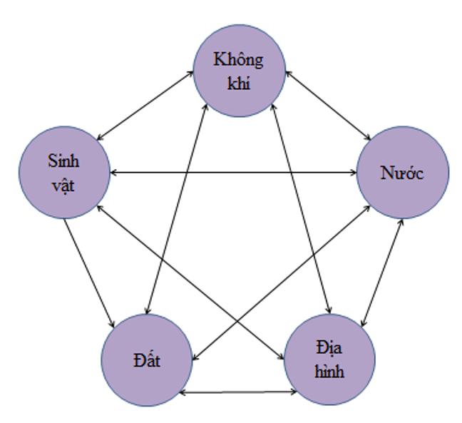 Giải vở bài tập Địa Lý 8 bài 20: Khí hậu và cảnh quan trên Trái Đất