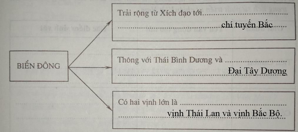 Giải vở bài tập Địa Lý 8 bài 24: Vùng biển Việt Nam