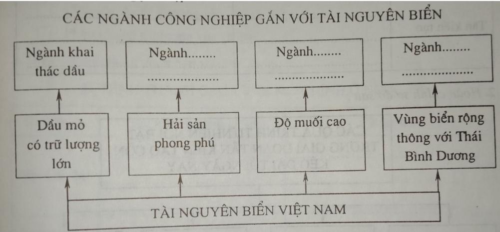 Giải vở bài tập Địa Lý 8 bài 24: Vùng biển Việt Nam