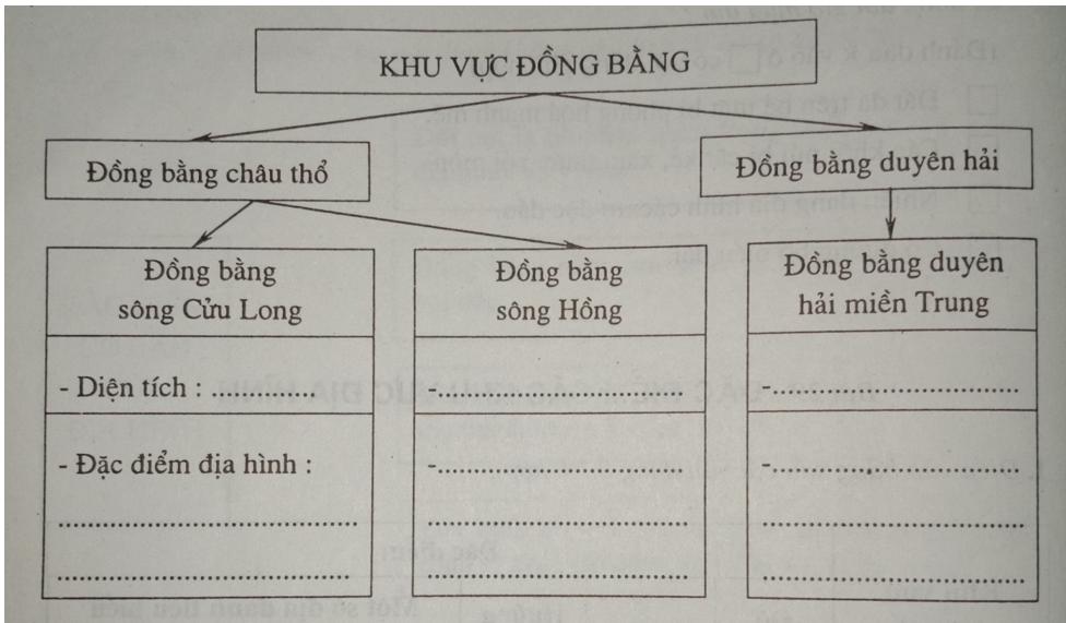 Giải vở bài tập Địa Lý 8 bài 29: Đặc điểm các khu vực địa hình