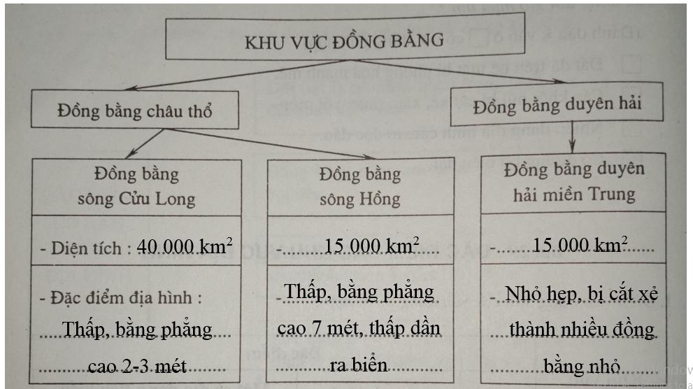 Giải vở bài tập Địa Lý 8 bài 29: Đặc điểm các khu vực địa hình