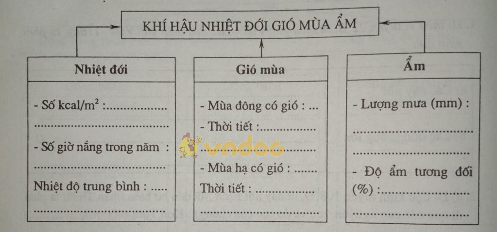 Giải vở bài tập Địa Lý 8 bài 31: Đặc điểm khí hậu Việt Nam