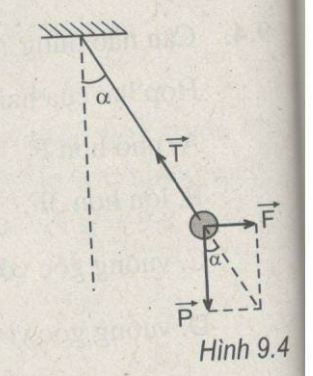 Giải bài tập SBT Vật lý 10 bài 9