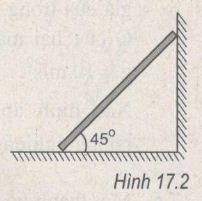 Giải bài tập SBT Vật lý 10 bài 17