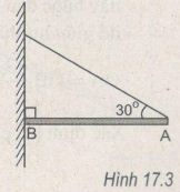 Giải bài tập SBT Vật lý 10 bài 17