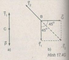 Giải bài tập SBT Vật lý 10 bài 17