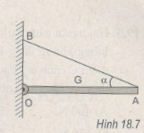 Giải bài tập Vật lý 10 SBT bài 18