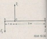 Giải bài tập Vật lý 10 SBT bài 19