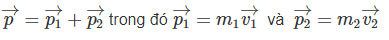 Giải bài tập Vật lý 10 SBT bài 23