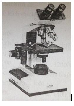 Đề kiểm tra 15 phút Sinh học lớp 6 học kì 1