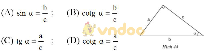 Giải bài tập SGK Toán lớp 9 bài: Ôn tập Chương I – Hệ thức lượng giác trong tam giác vuông