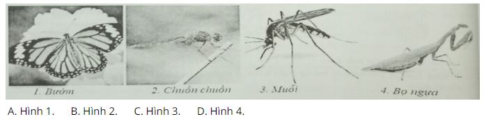 Đề kiểm tra Sinh học 7