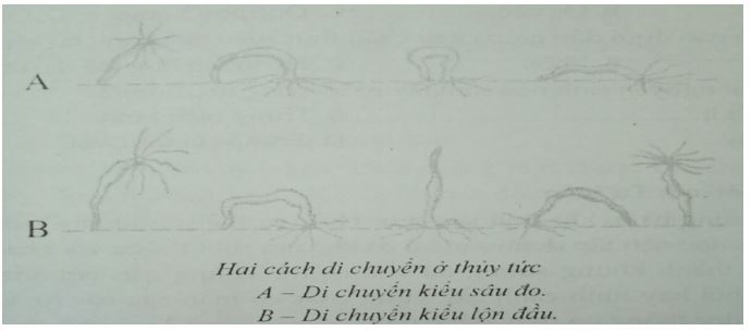 Đề kiểm tra Sinh học 7