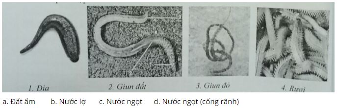 Đề kiểm tra Sinh học 7