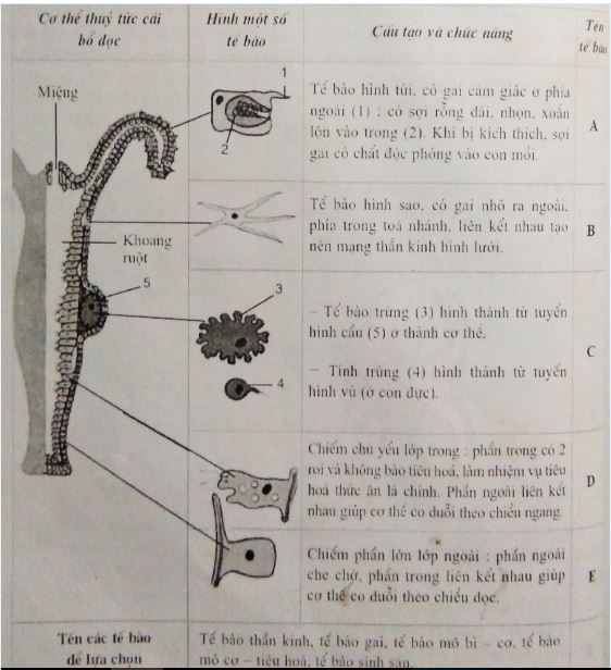 Đề kiểm tra Sinh học 7