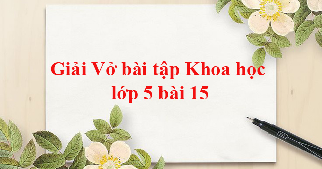 Giải Vở bài tập Khoa học 5 bài 15 Phòng bệnh viêm gan A