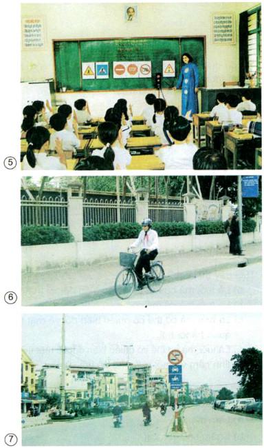 Giải Vở bài tập Khoa học lớp 5 bài 19