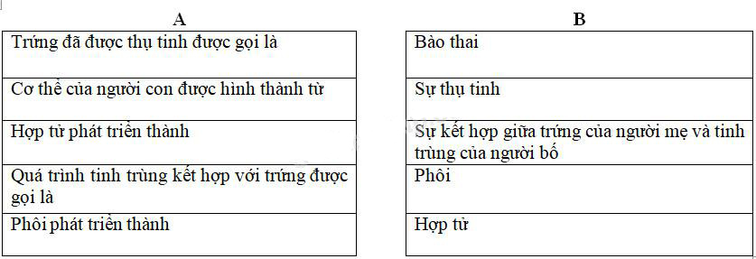 Giải Vở bài tập Khoa học lớp 5 bài 4