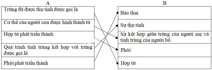 Giải Vở bài tập Khoa học lớp 5 bài 4