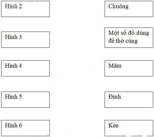 Giải Vở bài tập Khoa học lớp 5 bài 24