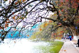 Cảm nhận của em về một ngày bất chợt nhận ra đất trời đã sang thu