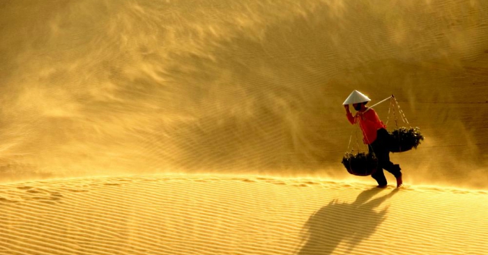 Lập dàn ý và viết bài văn cho đề sau: Cảm nhận bài Thương Vợ - Trần Tế Xương