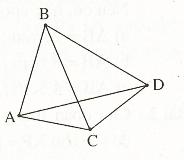 Bài tập hình học lớp 6