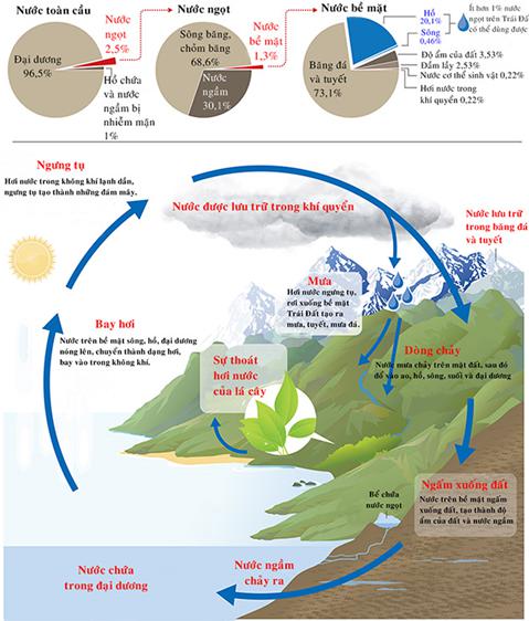 Giải Vở bài tập Khoa học lớp 4 bài 23