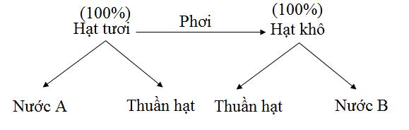 Toán nâng cao lớp 5