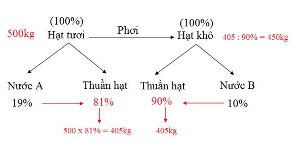 Toán nâng cao lớp 5
