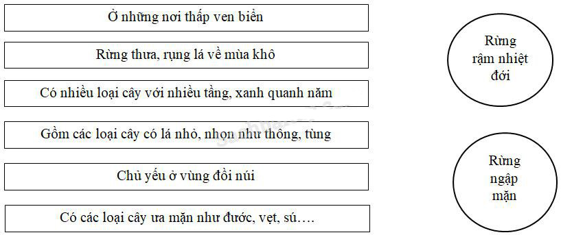 Giải Vở bài tập Địa lý lớp 5 bài 6