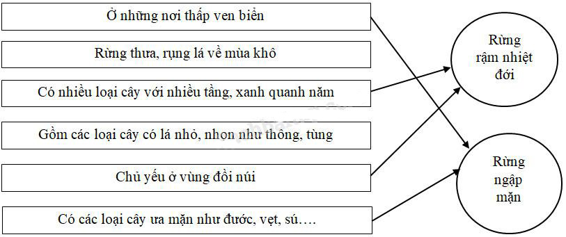 Giải Vở bài tập Địa lý lớp 5 bài 6