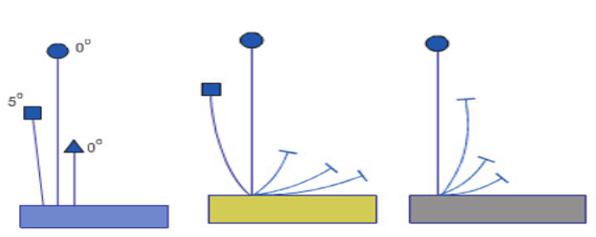 Giải VBT Công nghệ lớp 6 bài 14