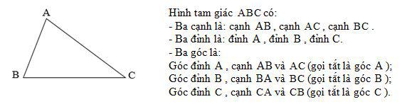 Hình tam giác. Diện tích hình tam giác