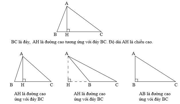 Hình tam giác. Diện tích hình tam giác