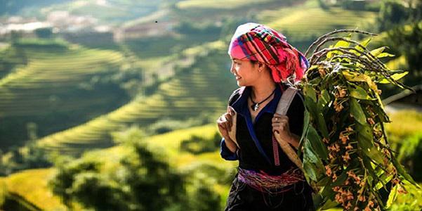 Lý thuyết Tiếng Việt lớp 3 bài 59