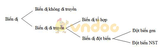 biến dị Lý thuyết Sinh học lớp 9 bài 21: Đột biến gen