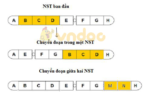 Đột biến chuyển đoạn Lý thuyết Sinh học lớp 9 bài 22: Đột biến cấu trúc nhiễm sắc thể