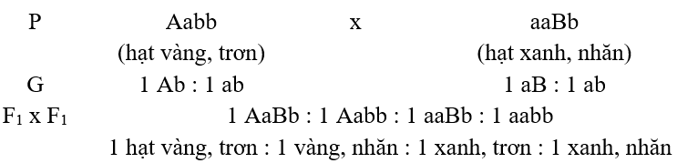 Bài tập tự luận Quy luật phân li độc lập