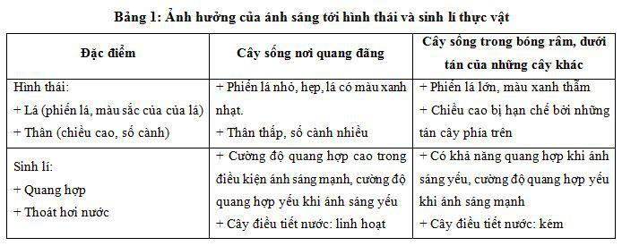 ảnh hướng của ánh sáng lên thực vật Lý thuyết Sinh học lớp 9 bài 42: Ảnh hưởng của ánh sáng lên đời sống sinh vật