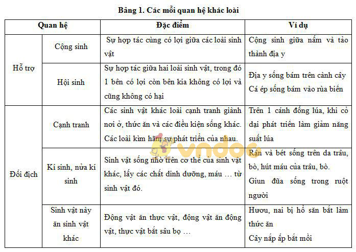 các mối quan hệ khác loài Lý thuyết Sinh học lớp 9 bài 44: Ảnh hưởng lẫn nhau giữa các sinh vật