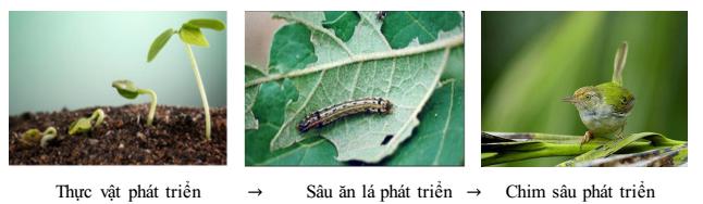 cân bằng sinh học Lý thuyết Sinh học lớp 9 bài 49: Quần thể xã sinh vật