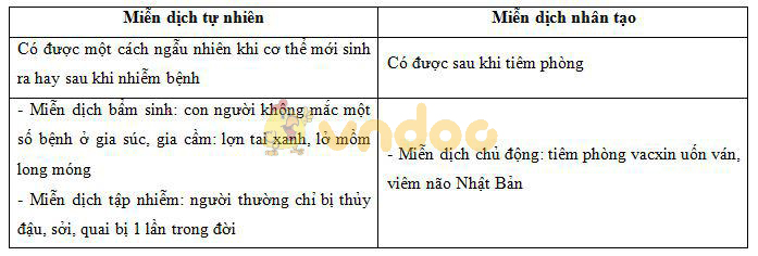 các loại miễn dịch Lý thuyết Sinh học lớp 8 bài 14: Bạch cầu - Miễn dịch