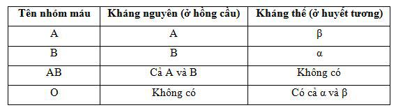 nhóm máu ở người Lý thuyết Sinh học lớp 8 bài 15: Đông máu và nguyên tắc truyền máu