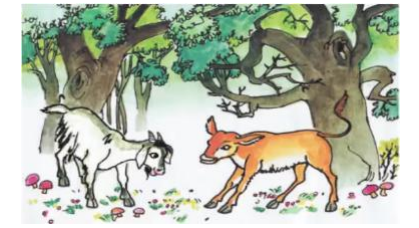 Lý thuyết Tiếng Việt lớp 2