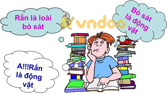tư duy trừu tượng Lý thuyết Sinh học lớp 8 bài 53: Hoạt động thần kinh cấp cao ở người