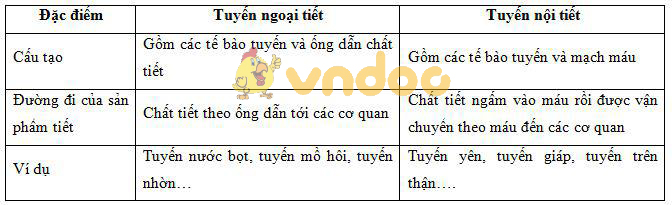 Lý thuyết Sinh học lớp 8 bài 55: Giới thiệu chung hệ nội tiết