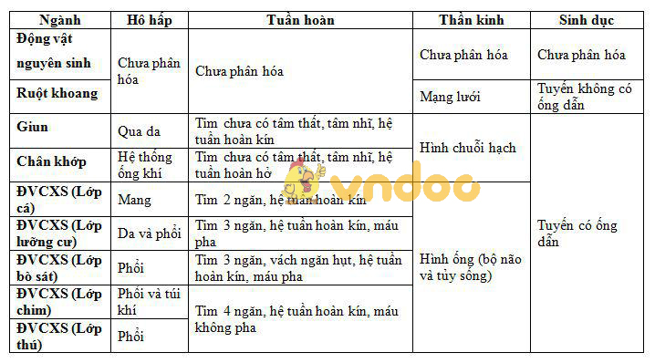 tiến hóa các hệ cơ quan Lý thuyết Sinh học lớp 7 bài 54: Tiến hóa về tổ chức cơ thể