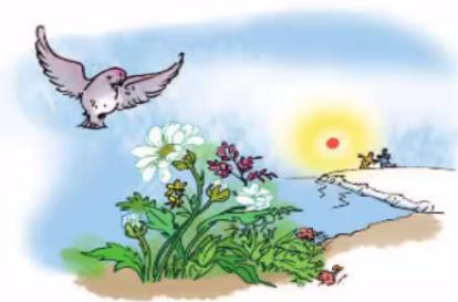 TẬP ĐỌC: CHIM SƠN CA VÀ BÔNG CÚC TRẮNG