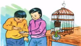 TẬP ĐỌC: CHIM SƠN CA VÀ BÔNG CÚC TRẮNG